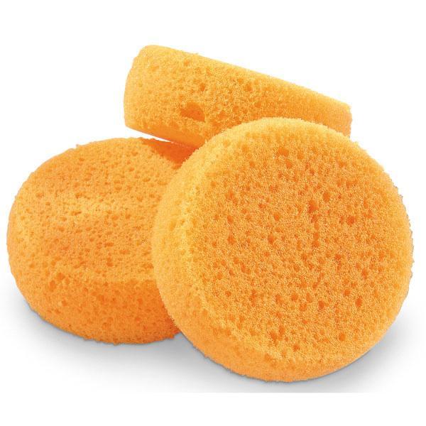 Tools for Members Sponge (one) - Sponge (one) - Tools for