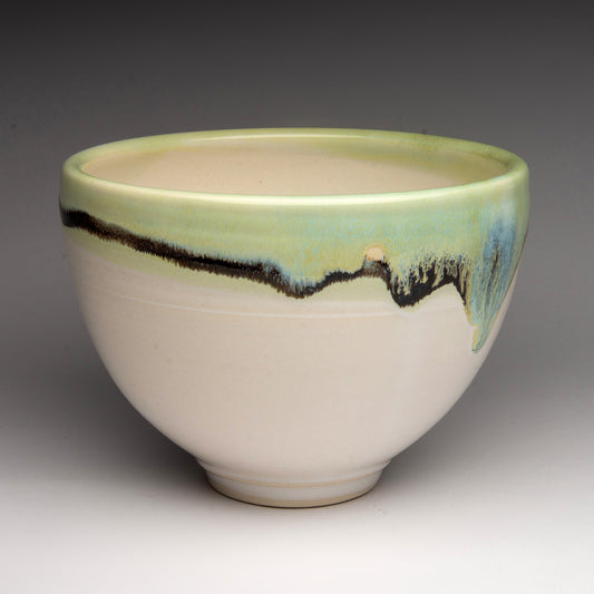 Bowl by Sandi Dunkelman DUN245